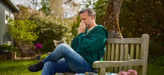 Mann im Garten mit allergischer Rhinitis, leidet unter laufender Nase durch Pollenallergie im Frühling. Ein Mann sitzt auf einer Holzbank im Garten und schnäuzt sich in ein Taschentuch. Er trägt eine grüne Jacke und sitzt unter einem Baum, umgeben von Pflanzen und Blumen. Im Hintergrund sind Bäume und ein weiterer Sitzbereich zu sehen.