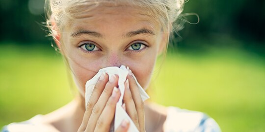 Schnupfen Nase Läuft Wie Wasser www.gelositin.de