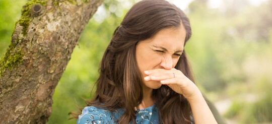 Frau muss niesen wegen ihrem Heuschnupfen / pollenallergie